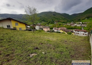 Area Edificabile in vendita a Albino