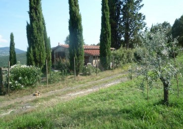 Rustico - Casolare - Colonica in vendita a Montecatini Val di Cecina