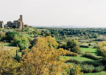 Area Edificabile in vendita a Viterbo