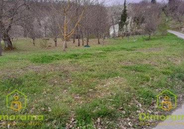 Terreno in vendita a Bagno di Romagna